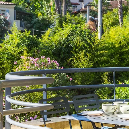 Cocon Vu Sur Le Port De Appartement